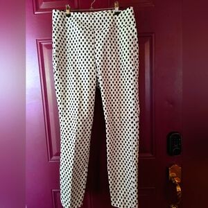 New York & Co Polka Dot Women's Pants